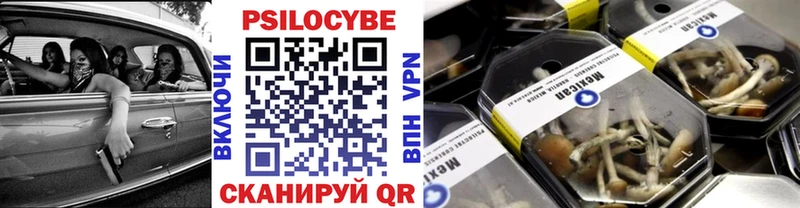 гидра как зайти  где продают наркотики  Иноземцево  Галлюциногенные грибы Psilocybine cubensis 